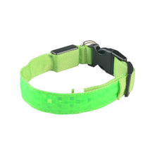 Night Safety LED Pet Dog Collar Luminous Lattice Necklace Light Collar